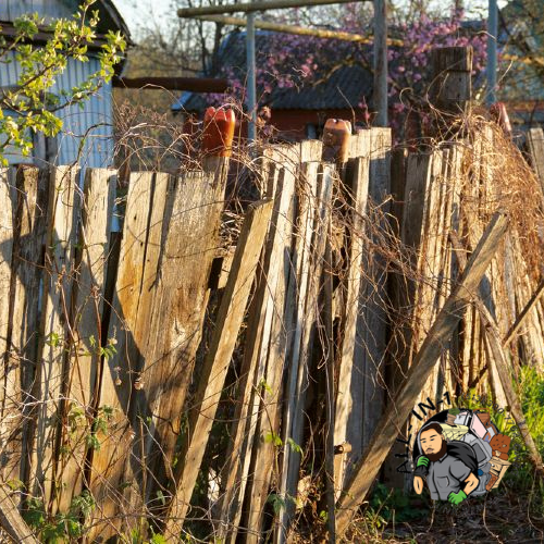 Cincinnati Fence Removal