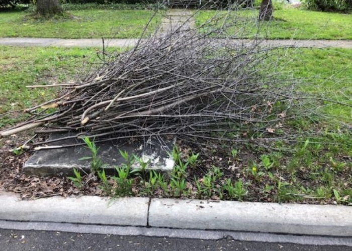 Yard Waste removal In Cincinnati done right