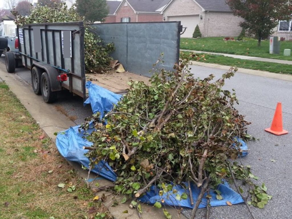 Yard Debris Removal Services In Cincinnati