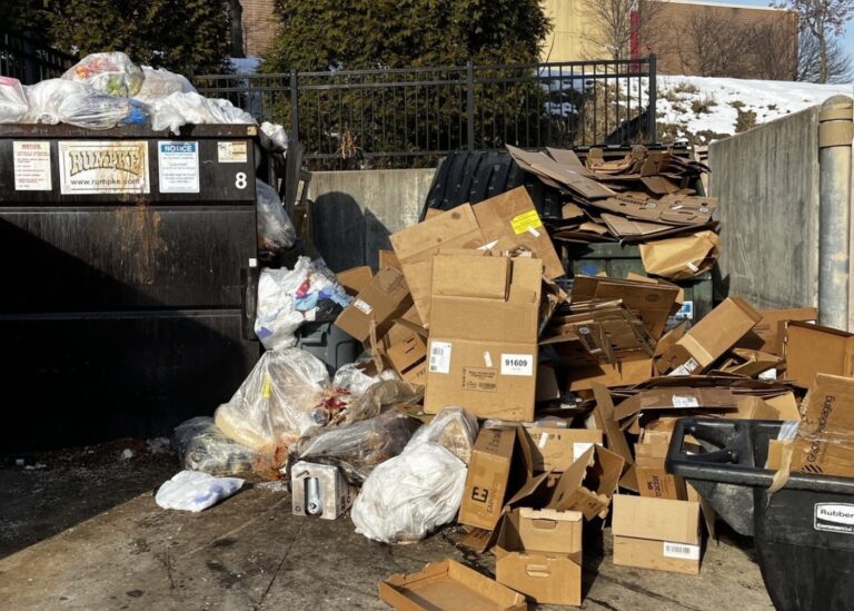 Bulk Waste Management