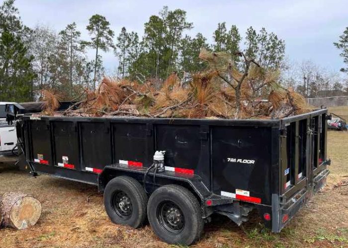 Tree Branch Removal Cincinnati